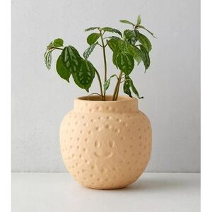 NWT Urban Outfitters Sun Face Planter